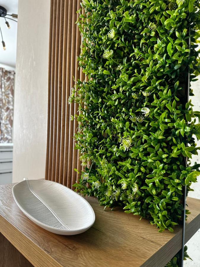 Apartment ниа